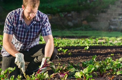 Gardener in Camden Town starting a garden service